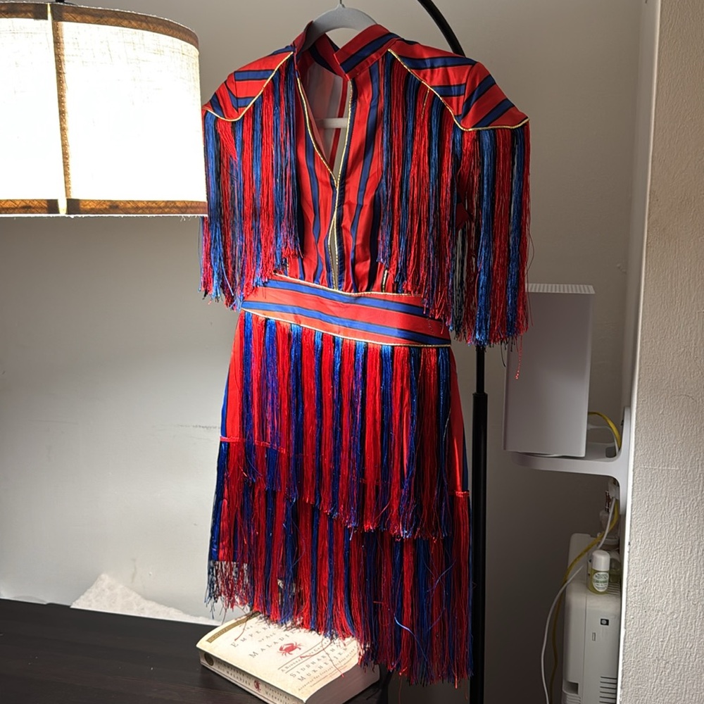PARTY Zecrave grand mini dress - size S, never worn, og purchased f$250+ - Picture 4 of 6